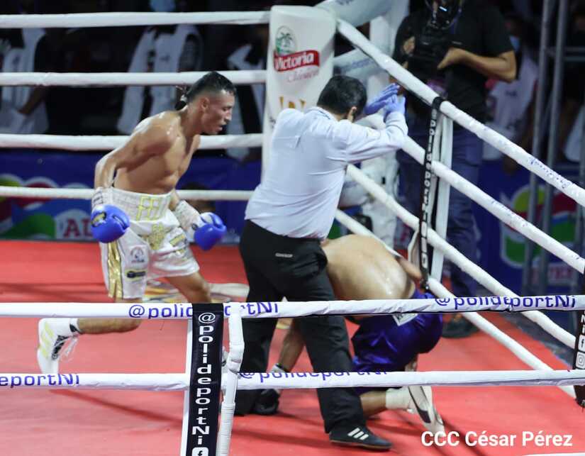boxeo